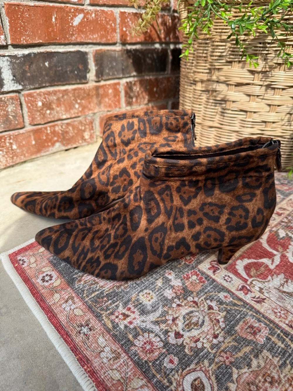 Impo Elba Leopard Booties